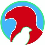 cropped-bird-eagle-e1547319275530